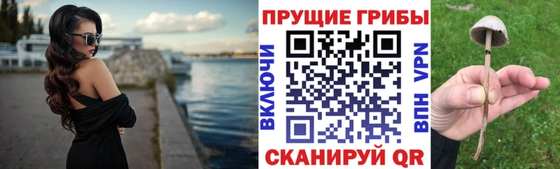 Купить где  Реж  Галлюциногенные грибы GOLDEN TEACHER 